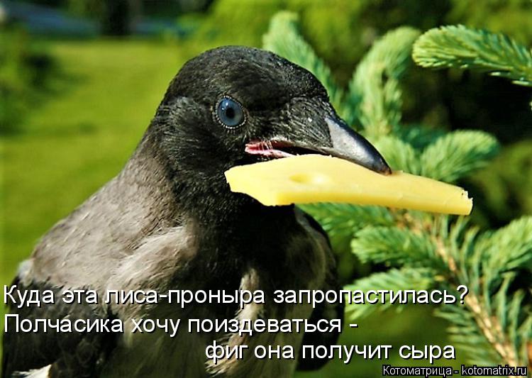 Котоматрица: Куда эта лиса-проныра запропастилась? Полчасика хочу поиздеваться - фиг она получит сыра
