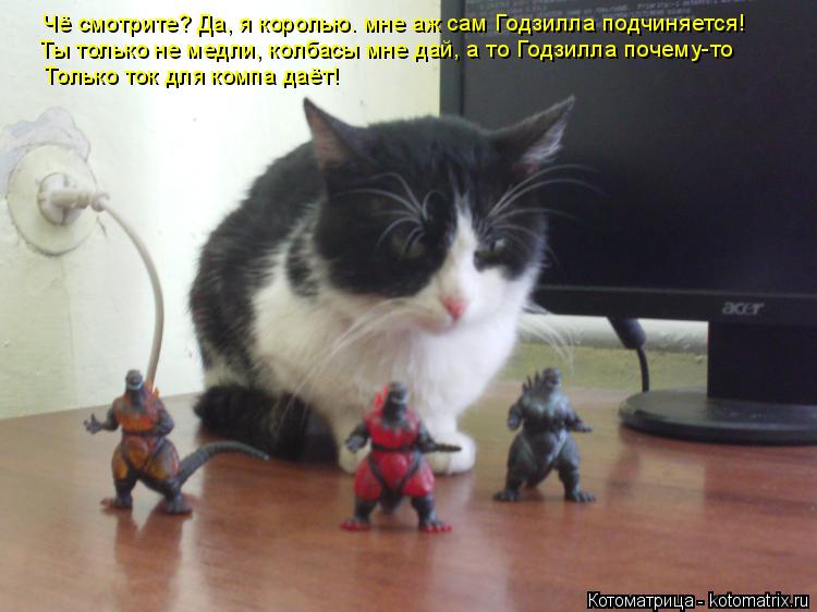 Котоматрица: Чё смотрите? Да, я королью. мне аж сам Годзилла подчиняется! Ты только не медли, колбасы мне дай, а то Годзилла почему-то  Только ток для компа 