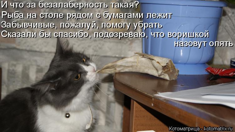 Котоматрица: И что за безалаберность такая? Рыба на столе рядом с бумагами лежит Забывчивые, пожалуй, помогу убрать Сказали бы спасибо, подозреваю, что в