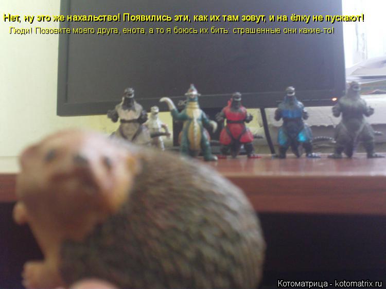 Котоматрица: Нет, ну это же нахальство! Появились эти, как их там зовут, и на ёлку не пускают! Люди! Позовите моего друга, енота, а то я боюсь их бить: страше