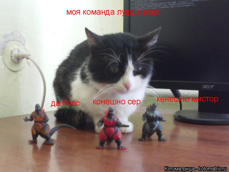 Котоматрица: моя команда лудше всех да босс конешно сер кенешно мистор
