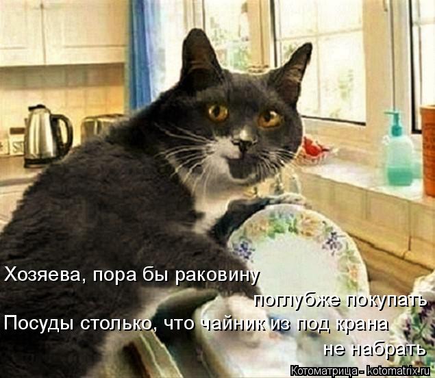 Котоматрица: Хозяева, пора бы раковину поглубже покупать Посуды столько, что чайник из под крана не набрать