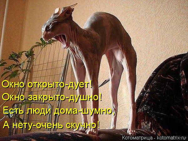 Окно открыто-дует! Окно закрыто-душно! Есть люди дома-шумно, А нету-очень скучно!... Котоматрица: Окно открыто-дует! Окно закрыто-душно! Есть люди дома-шумно, А нету-очень скучно!