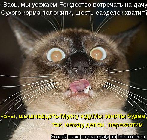 Котоматрица: -Вась, мы уезжаем Рождество встречать на дачу Сухого корма положили, шесть сарделек хватит? -Ы-ы, шышнадцать-Мурку жду.Мы заняты будем, так, м