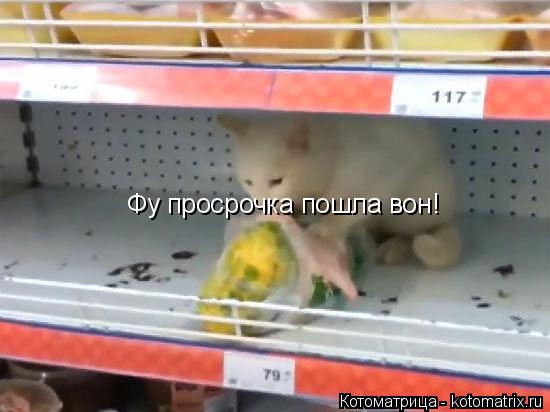 Котоматрица: Фу просрочка пошла вон!