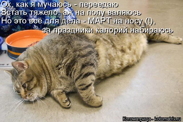 Котоматрица: Ох, как я мучаюсь - переедаю Встать тяжело, аж на полу валяюсь Но это всё для дела - МАРТ на носу (!), за праздники калорий набираюсь