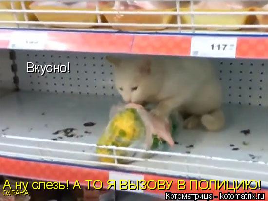 Котоматрица: Вкусно! А ну слезь! А ТО Я ВЫЗОВУ В ПОЛИЦИЮ! ОХРАНА