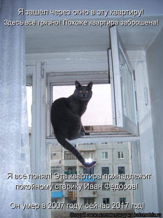 Котоматрица: Я зашёл через окно в эту квартиру! Здесь всё грязно! Похоже квартира заброшена! Я всё понял! Эта квартира принадлежит покойному старику Иван