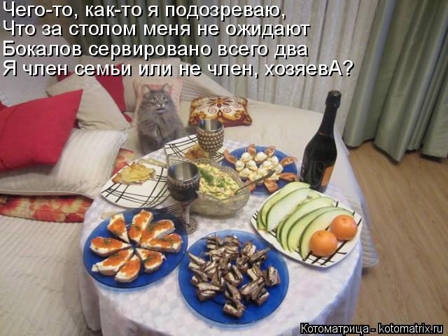 Котоматрица: Чего-то, как-то я подозреваю, Что за столом меня не ожидают Бокалов сервировано всего два Я член семьи или не член, хозяевА?