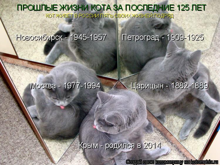 Котоматрица: Новосибирск - 1945-1957       Петроград - 1909-1925 Москва - 1977-1994              Царицын - 1882-1889 Крым - родился в 2014 ПРОШЛЫЕ ЖИЗНИ КОТА ЗА ПОСЛЕДНИЕ 125 