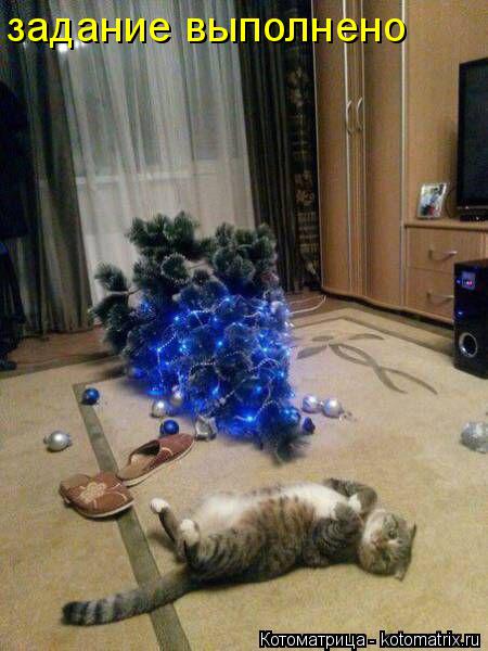 Котоматрица: задание выполнено