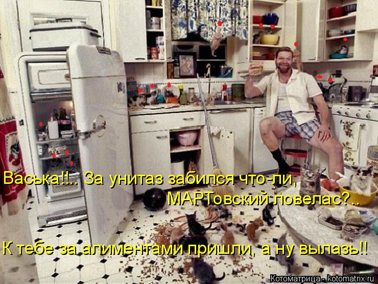 Котоматрица: Васька!!.. За унитаз забился что-ли, МАРТовский ловелас?.. К тебе за алиментами пришли, а ну вылазь!!