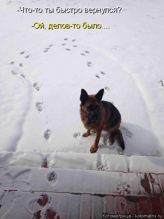 -Что-то ты быстро вернулся? -Ой, делов-то было....... Котоматрица: -Что-то ты быстро вернулся? -Ой, делов-то было....