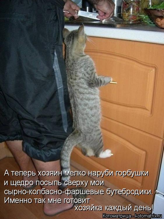 А теперь хозяин мелко наруби горбушки и щедро посыпь сверху мои сырно-колбасно-фаршевые бутебродики.... Котоматрица: А теперь хозяин мелко наруби горбушки и щедро посыпь сверху мои сырно-колбасно-фаршевые бутебродики. Именно так мне готовит хозяйка кажды