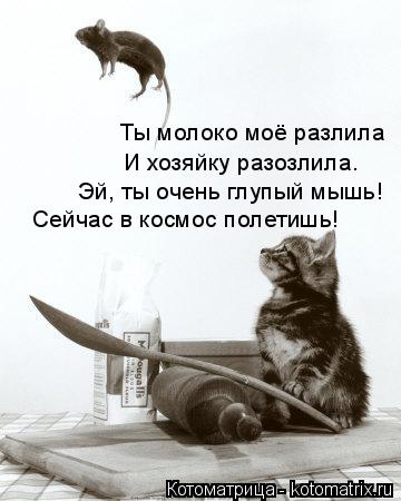Ты молоко моё разлила И хозяйку разозлила. Эй, ты очень глупый мышь! Сейчас в космос полетишь!... Котоматрица: Ты молоко моё разлила И хозяйку разозлила. Эй, ты очень глупый мышь! Сейчас в космос полетишь!