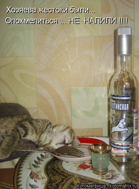 Хозяева жестоки были... Опохмелиться ... НЕ НАЛИЛИ !!!!... Котоматрица: Хозяева жестоки были... Опохмелиться ... НЕ НАЛИЛИ !!!!