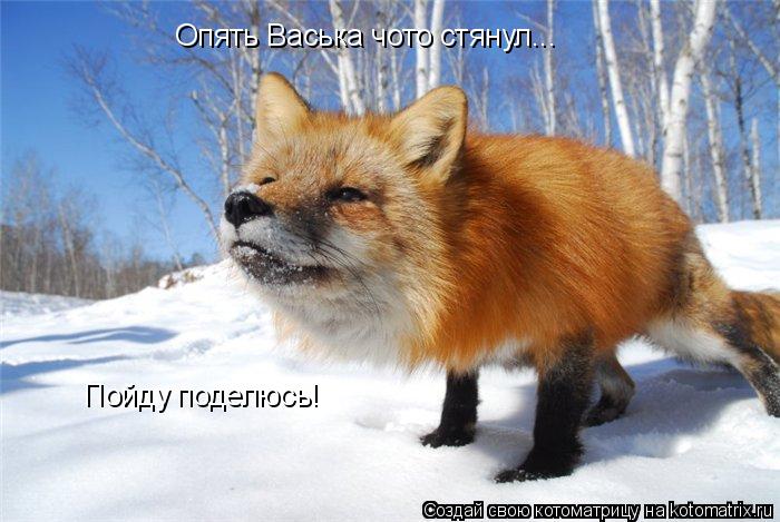 Опять Васька чото стянул... Пойду поделюсь!... Котоматрица: Опять Васька чото стянул... Пойду поделюсь!