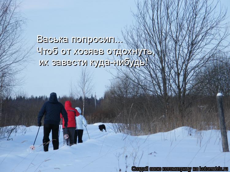 Васька попросил... Чтоб от хозяев отдохнуть, их завести куда-нибудь!... Котоматрица: Васька попросил... Чтоб от хозяев отдохнуть, их завести куда-нибудь!