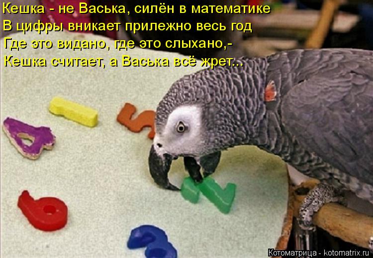 Кешка - не Васька, силён в математике В цифры вникает прилежно весь год Где это видано, где это слыха... Котоматрица: Кешка - не Васька, силён в математике В цифры вникает прилежно весь год Где это видано, где это слыхано,- Кешка считает, а Васька всё жрет...
