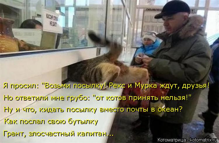 Но ответили мне грубо: "от котов принять нельзя!" Я просил: "Возьми посылку! Рекс и Мурка ждут, друзь... Котоматрица: Но ответили мне грубо: "от котов принять нельзя!" Я просил: "Возьми посылку! Рекс и Мурка ждут, друзья! Ну и что, кидать посылку вместо почты в о