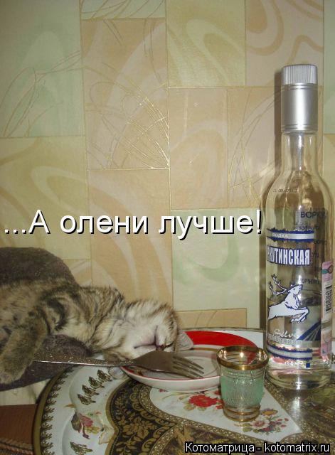 ...А олени лучше!... Котоматрица: ...А олени лучше!