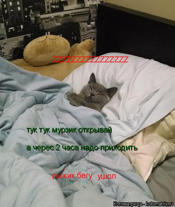 ZZZZZZZZZZZZZZZZ тук тук мурзик открывай а черес 2 часа надо приходить рыжик бегу ушол... Котоматрица: ZZZZZZZZZZZZZZZZ тук тук мурзик открывай а черес 2 часа надо приходить рыжик бегу ушол