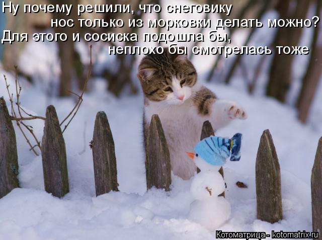 Ну почему решили, что снеговику нос только из морковки делать можно? Для этого и сосиска подошла бы, ... Котоматрица: Ну почему решили, что снеговику нос только из морковки делать можно? Для этого и сосиска подошла бы, неплохо бы смотрелась тоже