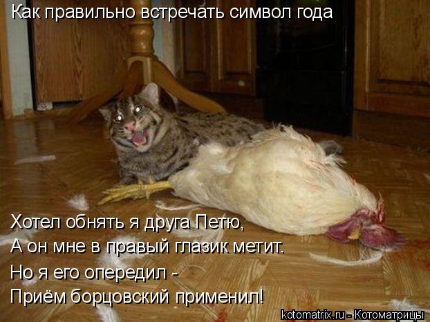 Как правильно встречать символ года Хотел обнять я друга Петю, А он мне в правый глазик метит. Но я е... Котоматрица: Как правильно встречать символ года Хотел обнять я друга Петю, А он мне в правый глазик метит. Но я его опередил - Приём борцовский применил!