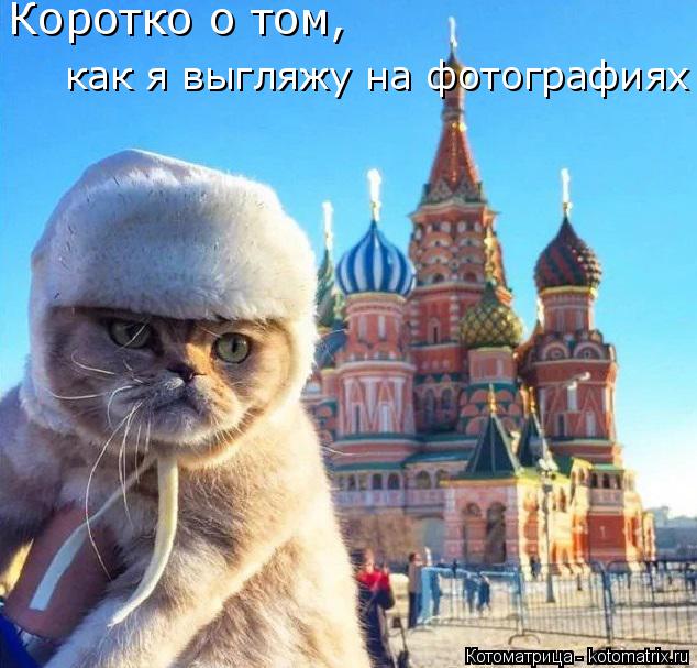 Коротко о том, как я выгляжу на фотографиях... Котоматрица: Коротко о том, как я выгляжу на фотографиях