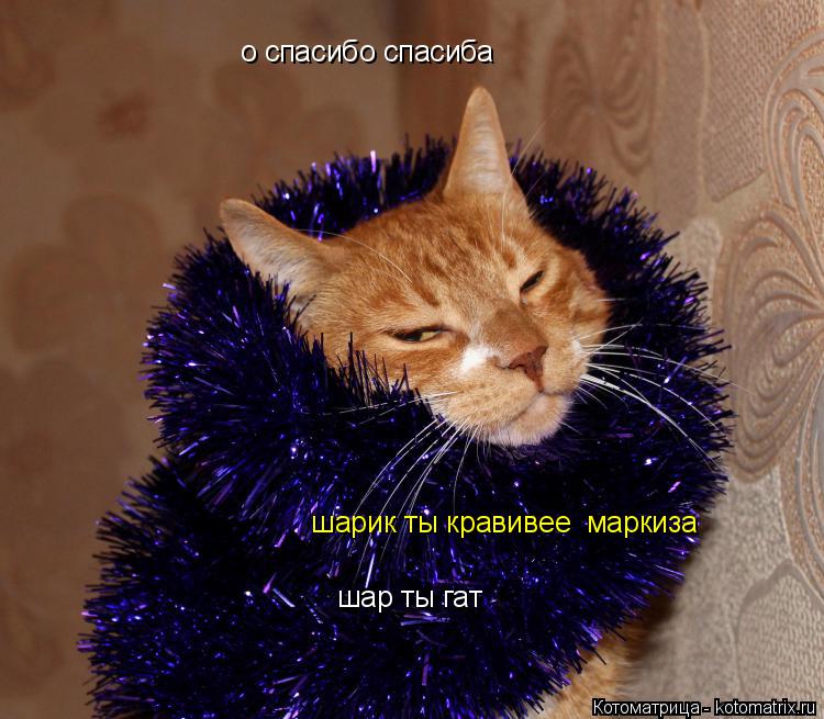 о спасибо спасиба шарик ты кравивее маркиза шар ты гат... Котоматрица: о спасибо спасиба шарик ты кравивее маркиза шар ты гат