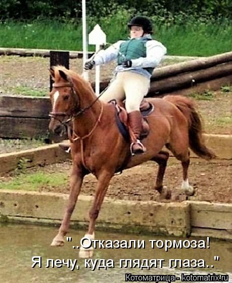 "..Отказали тормоза! Я лечу, куда глядят глаза.."... Котоматрица: "..Отказали тормоза! Я лечу, куда глядят глаза.."