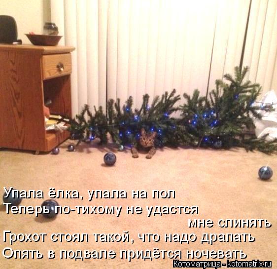 Упала ёлка, упала на пол Теперь по-тихому не удастся мне слинять Грохот стоял такой, что надо драпат... Котоматрица: Упала ёлка, упала на пол Теперь по-тихому не удастся мне слинять Грохот стоял такой, что надо драпать Опять в подвале придётся ночевать
