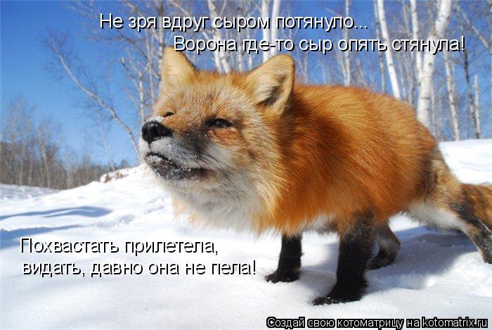 Не зря вдруг сыром потянуло... Ворона где-то сыр опять стянула! Похвастать прилетела, видать, давно о... Котоматрица: Не зря вдруг сыром потянуло... Ворона где-то сыр опять стянула! Похвастать прилетела, видать, давно она не пела!