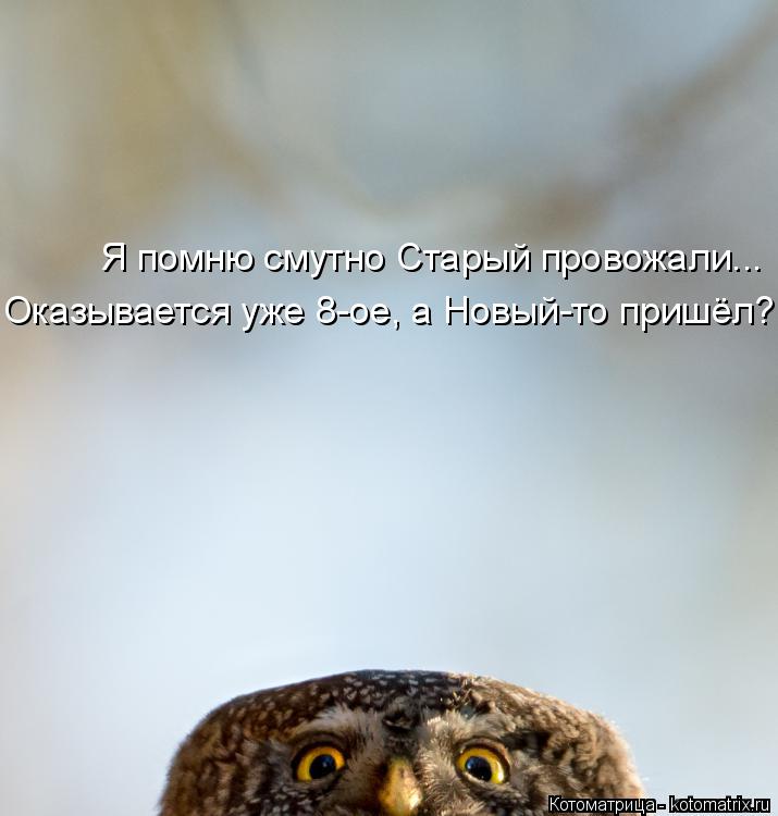 Я помню смутно Старый провожали... Оказывается уже 8-ое, а Новый-то пришёл?... Котоматрица: Я помню смутно Старый провожали... Оказывается уже 8-ое, а Новый-то пришёл?