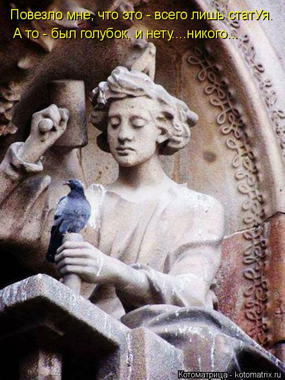 Повезло мне, что это - всего лишь статУя. А то - был голубок, и нету....никого...... Котоматрица: Повезло мне, что это - всего лишь статУя. А то - был голубок, и нету....никого...