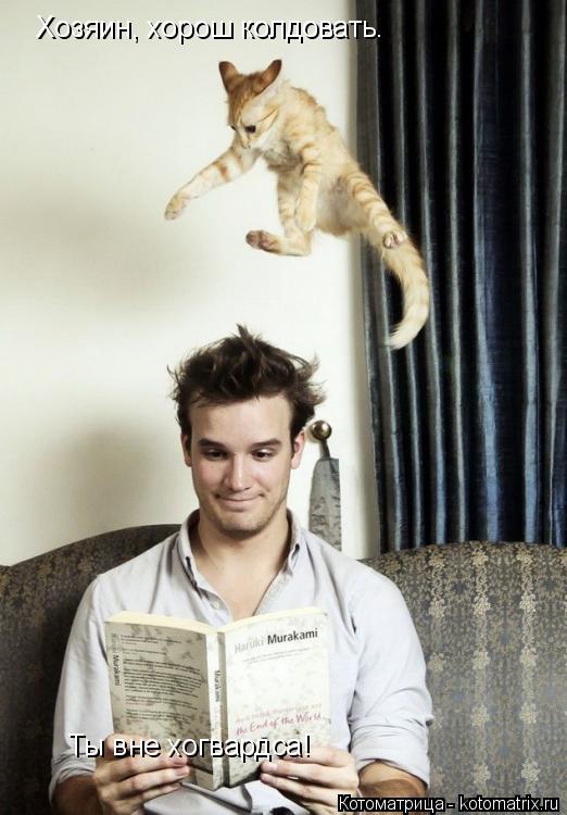 Хозяин, хорош колдовать. Ты вне хогвардса!... Котоматрица: Хозяин, хорош колдовать. Ты вне хогвардса!