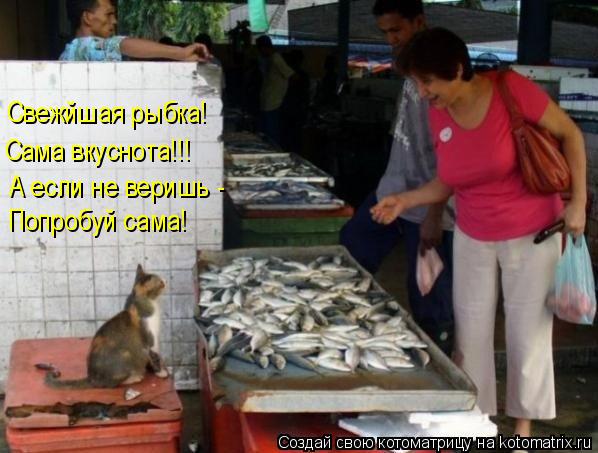 Свежйшая рыбка! Сама вкуснота!!! А если не веришь - Попробуй сама!... Котоматрица: Свежйшая рыбка! Сама вкуснота!!! А если не веришь - Попробуй сама!