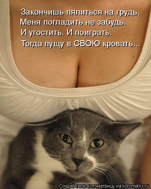Закончишь пялиться на грудь, Меня погладить не забудь. И угостить. И поиграть. Тогда пущу в СВОЮ кров... Котоматрица: Закончишь пялиться на грудь, Меня погладить не забудь. И угостить. И поиграть. Тогда пущу в СВОЮ кровать...