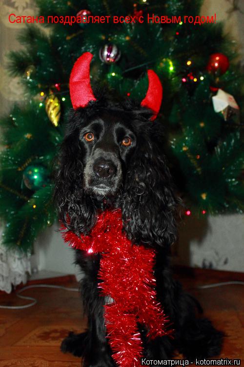Сатана поздравляет всех с Новым годом!... Котоматрица: Сатана поздравляет всех с Новым годом!