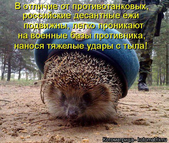 В отличие от противотанковых, российские десантные ежи подвижны, легко проникают на военные базы пр... Котоматрица: В отличие от противотанковых, российские десантные ежи подвижны, легко проникают на военные базы противника, нанося тяжелые удары с тыла!
