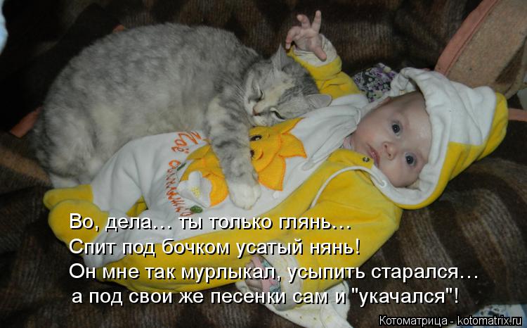 Во, дела… ты только глянь… Спит под бочком усатый нянь! Он мне так мурлыкал, усыпить старался… а под ... Котоматрица: Во, дела… ты только глянь… Спит под бочком усатый нянь! Он мне так мурлыкал, усыпить старался… а под свои же песенки сам и "укачался"!