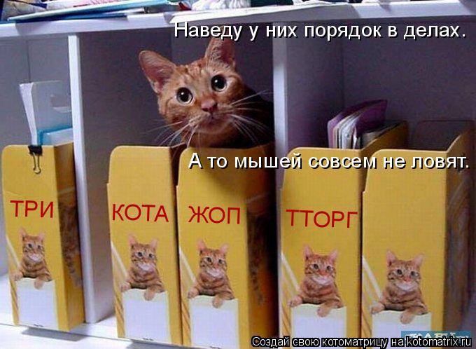 Наведу у них порядок в делах. А то мышей совсем не ловят. ТРИ КОТА ЖОП ТТОРГ... Котоматрица: Наведу у них порядок в делах. А то мышей совсем не ловят. ТРИ КОТА ЖОП ТТОРГ