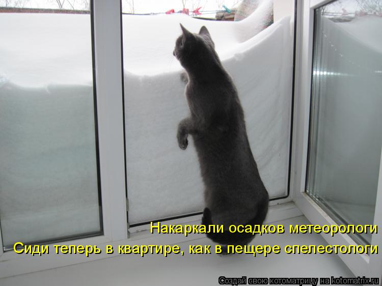 Накаркали осадков метеорологи Сиди теперь в квартире, как в пещере спелестологи... Котоматрица: Накаркали осадков метеорологи Сиди теперь в квартире, как в пещере спелестологи