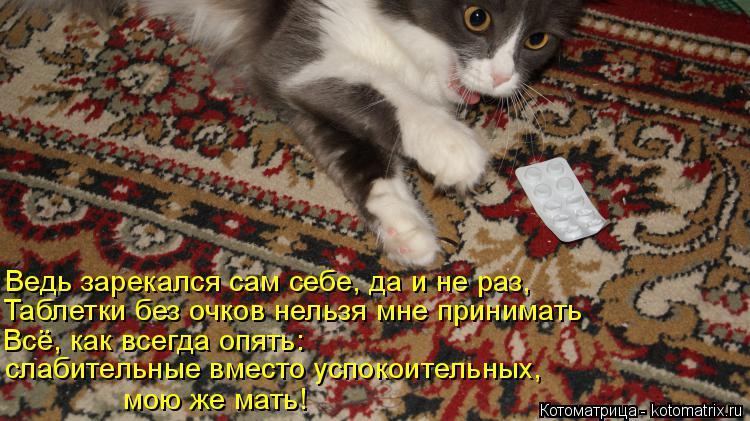 Ведь зарекался сам себе, да и не раз, Таблетки без очков нельзя мне принимать Всё, как всегда опять: ... Котоматрица: Ведь зарекался сам себе, да и не раз, Таблетки без очков нельзя мне принимать Всё, как всегда опять: слабительные вместо успокоительных, мою