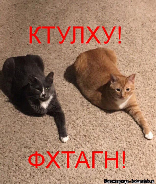 КТУЛХУ! ФХТАГН!... Котоматрица: КТУЛХУ! ФХТАГН!