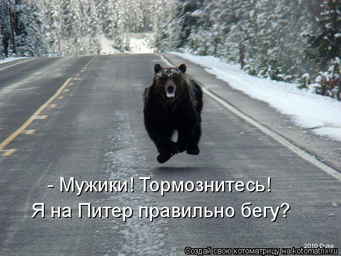 Котоматрица: - Мужики! Тормознитесь!  Я на Питер правильно бегу?
