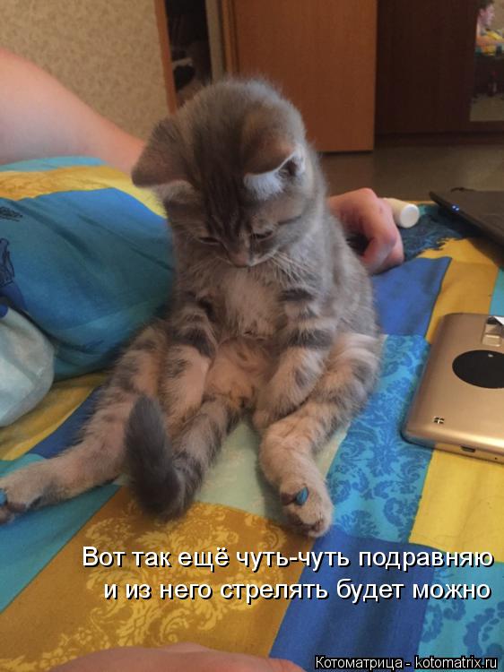 Вот так ещё чуть-чуть подравняю и из него стрелять будет можно... Котоматрица: Вот так ещё чуть-чуть подравняю и из него стрелять будет можно