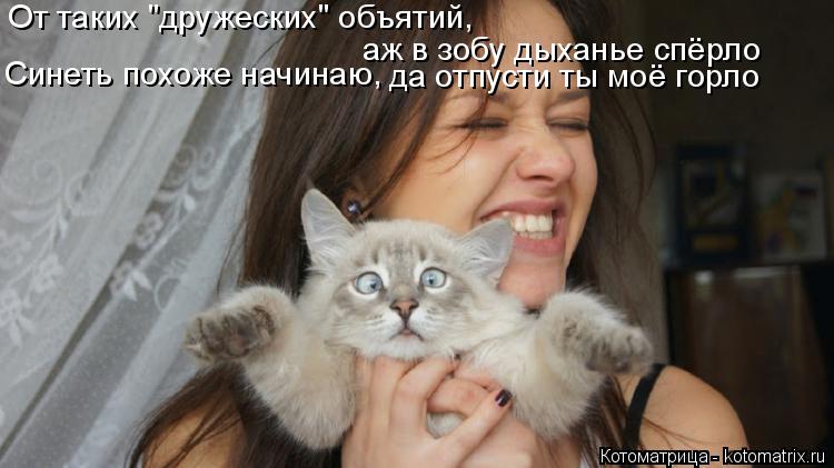 Котоматрица: От таких "дружеских" объятий, Синеть похоже начинаю,  да отпусти ты моё горло аж в зобу дыханье спёрло