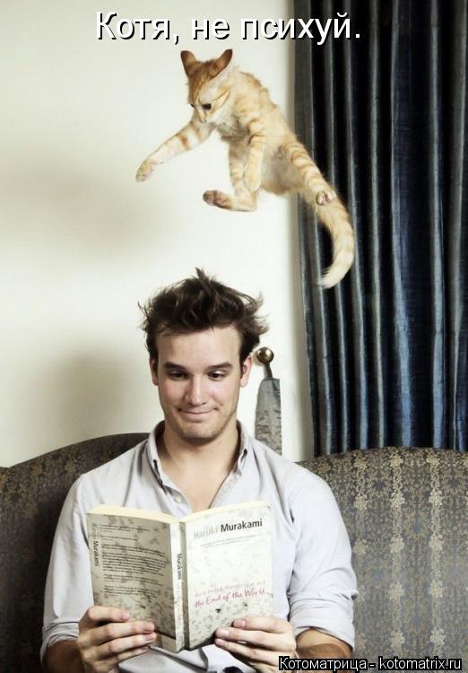 Котоматрица: Котя, не психуй.