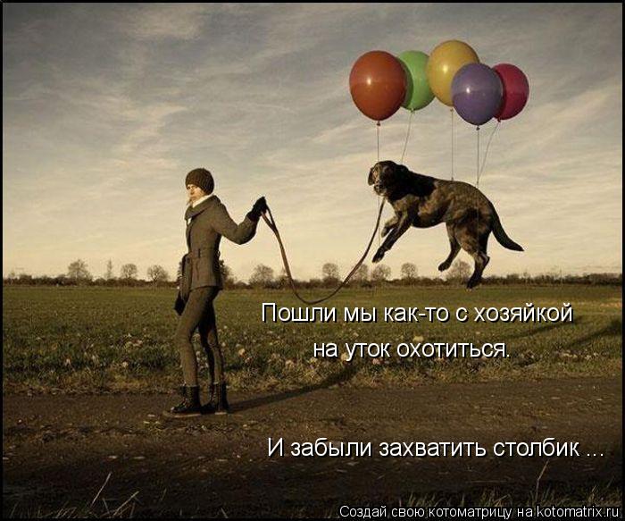 Котоматрица: Пошли мы как-то с хозяйкой на уток охотиться. И забыли захватить столбик ...